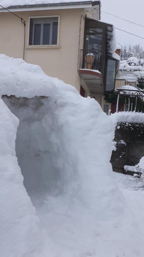 Les Planchettes Orcival Exterior foto